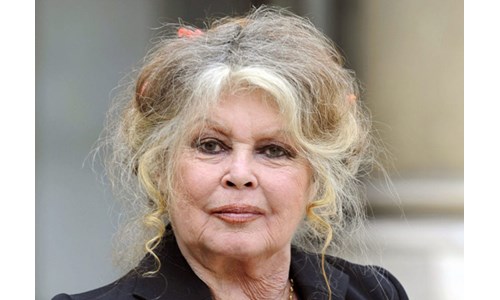 BRIGITTE BARDOT, SOKAK KÖPEKLERİ İÇİN  ERDOĞAN'A MEKTUP GÖNDERDİ